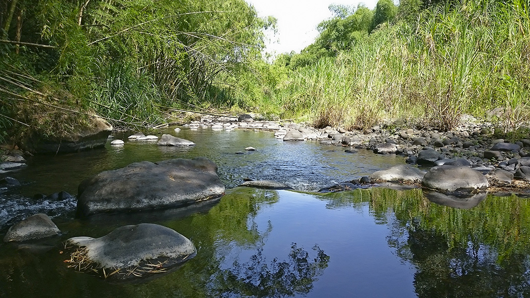 Chalet El Turín - Sendero